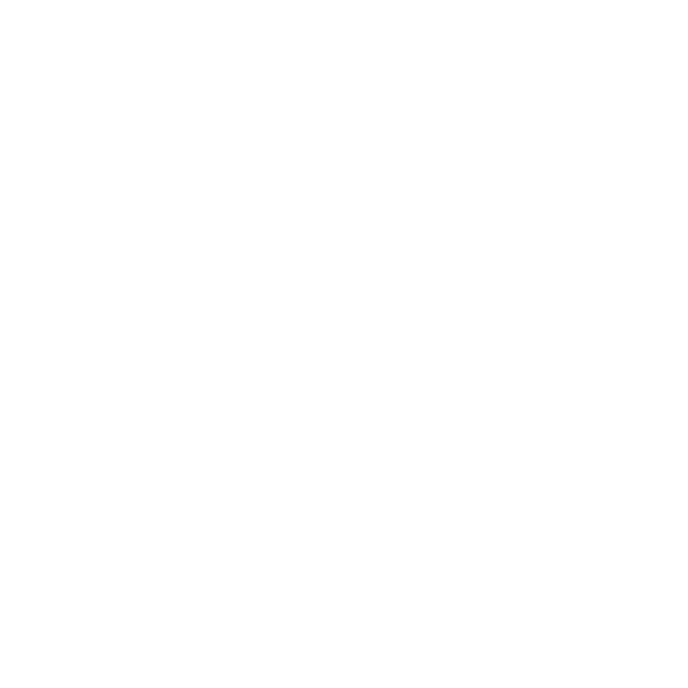 website logo white